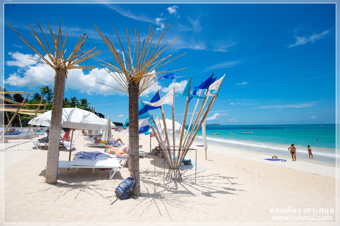 The Beach Bar Samui